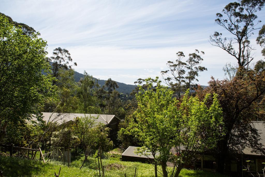 Bed and Breakfast Buttercup Hill Warburton Habitación foto