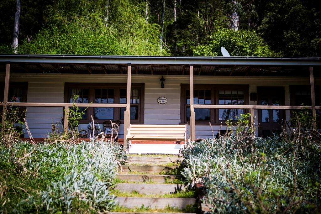 Bed and Breakfast Buttercup Hill Warburton Exterior foto