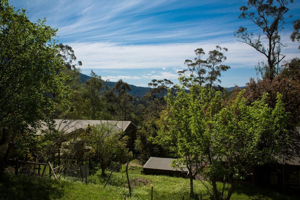 Bed and Breakfast Buttercup Hill Warburton Exterior foto
